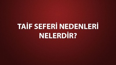 Taif Seferi nedenleri, sonuçları