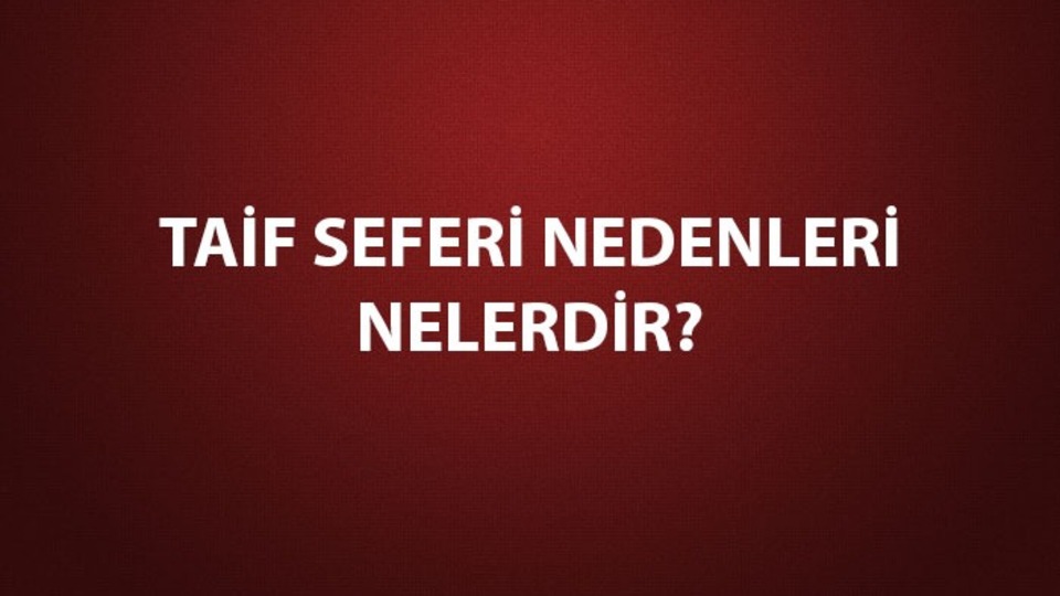 Taif Seferi nedenleri, sonuçları