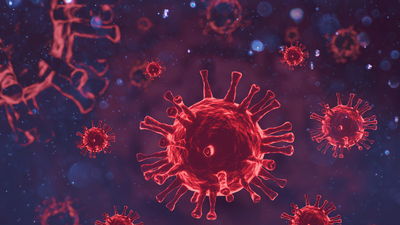 Koronavirüs sonsuza dek sürecek! İşte yeni salgınlardan korunmanın yolları...