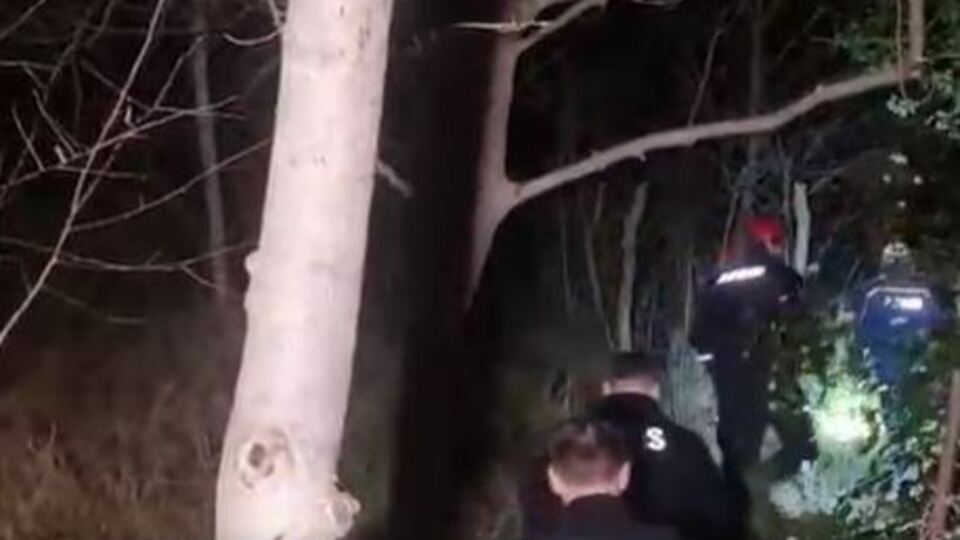 Pizza almaya gidiyordu, ormanda kayboldu