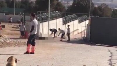 Konya'daki köpek katillerine verilen cezaya savcılıktan itiraz!