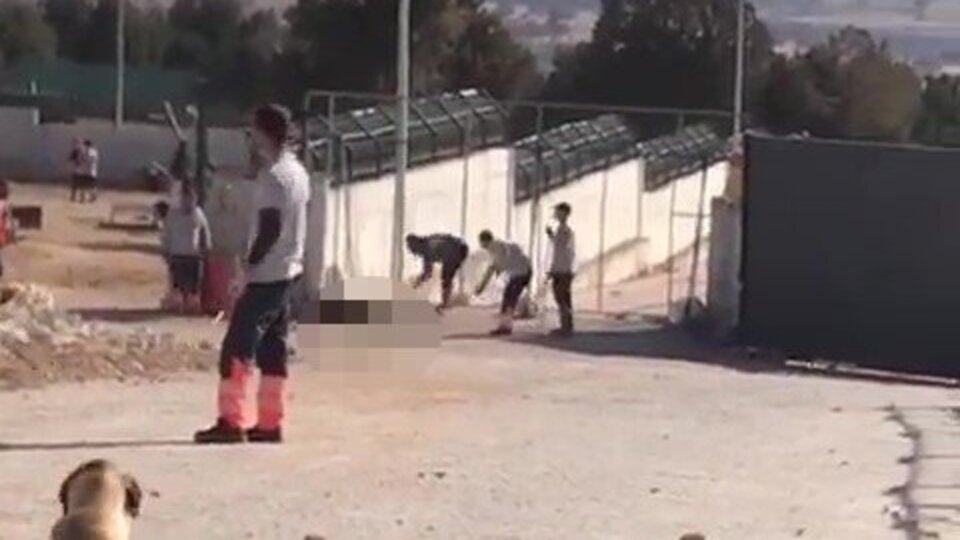 Konya'daki köpek katillerine verilen cezaya savcılıktan itiraz!