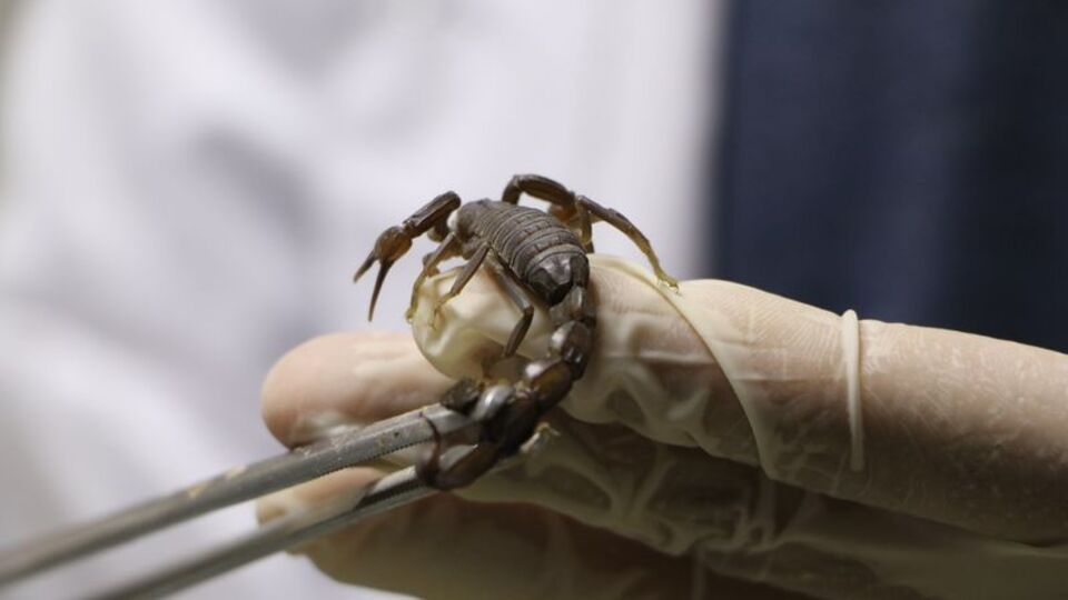 Zehrinin litresi 10 milyon dolar! Çifti 7 bin TL! Cezası 26 bin 390 TL!