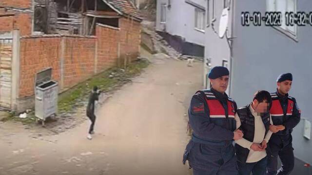 Sokak köpeğini öldüren kişi, bu kez tutuklandı