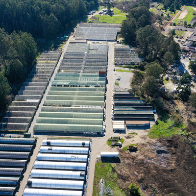 Kaliforniya'da iki fidanlıkta silahlı saldırı: 7 ölü