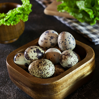 Bıldırcın yumurtası nasıl tüketilir?