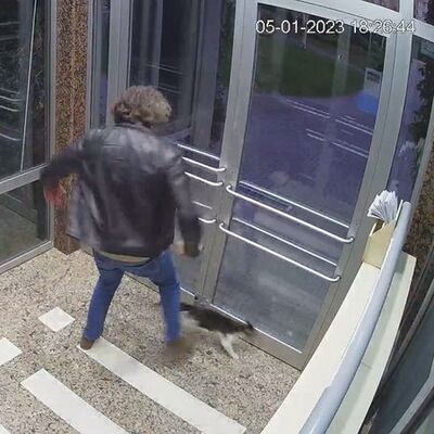 Küçükçekmece´deki kedi düşmanı yine sahnede