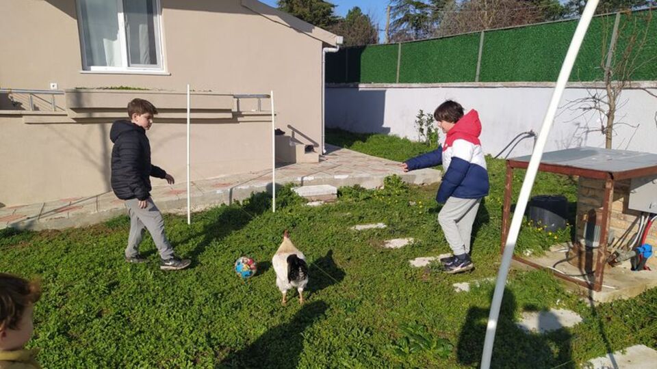 Horoz, futbolculara taş çıkarttı
