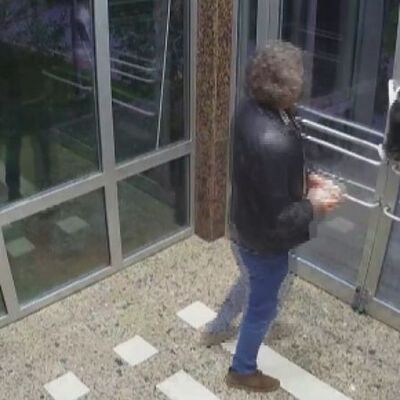 Kedilere eziyet eden caniden ahlaksızlık