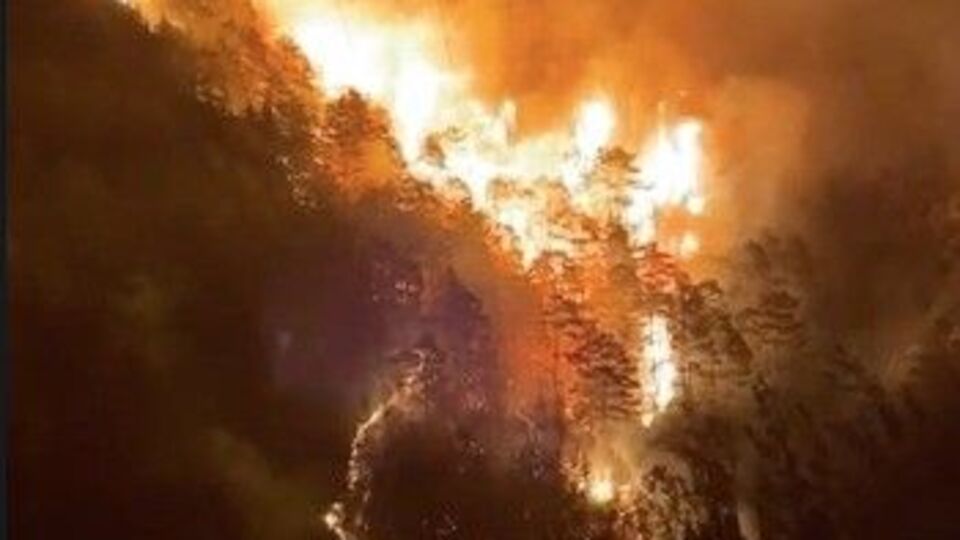 Alanya'da orman yangın