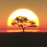 Güneş hakkında şaşırtıcı 10 bilgi