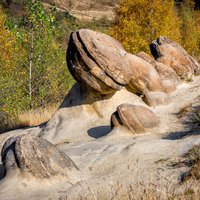 Bu kayalar bitkiler ve memeliler gibi çoğalıyor!