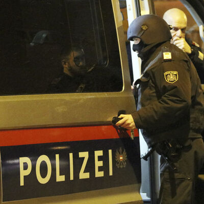 Avusturya'da 6 çocuk mahzende bulundu