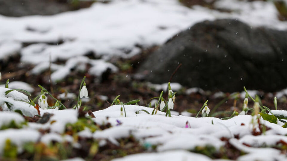 Beyazlar içerisindeki mucize