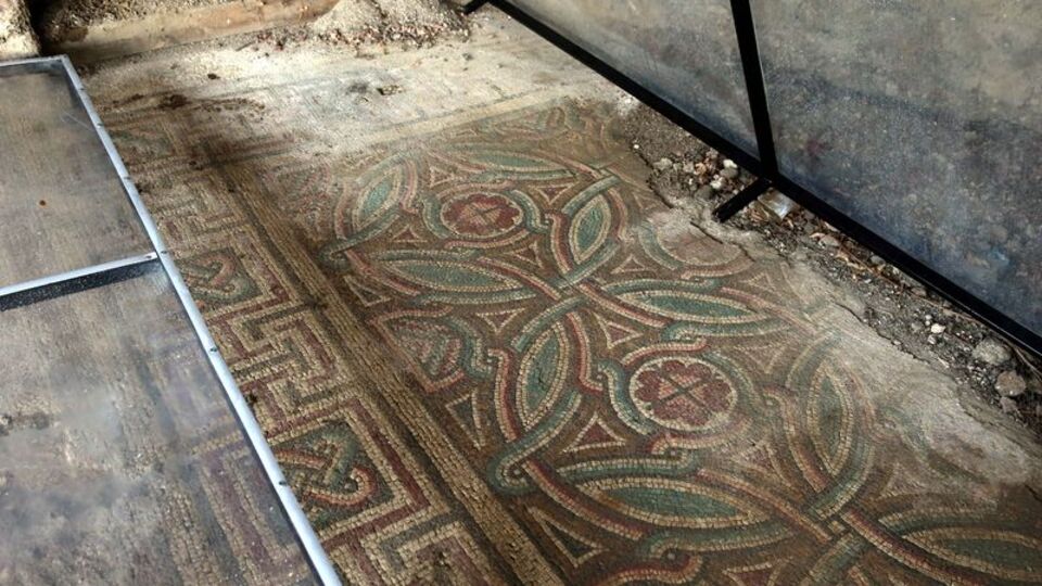 Belediye işçilerinin bulmuştu... Cam kafesle korunuyor