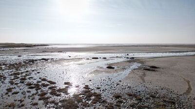 Tuz Gölü 40 yıl içinde yüzde 10 seviyelerine düştü