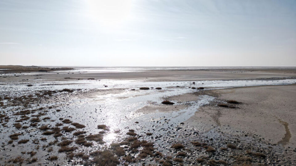 Tuz Gölü 40 yıl içinde yüzde 10 seviyelerine düştü