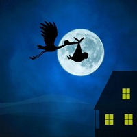 "Seni leylekler getirdi" söylemi nereden geliyor?