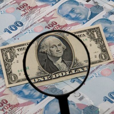 Sadece 5 il 'liralaşma' hedefini tutturamadı