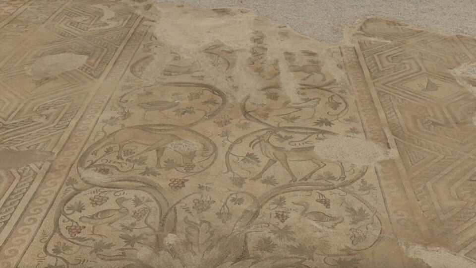 Adıyaman'da bulunuyor... 155 metrekarelik alana yayılmış!