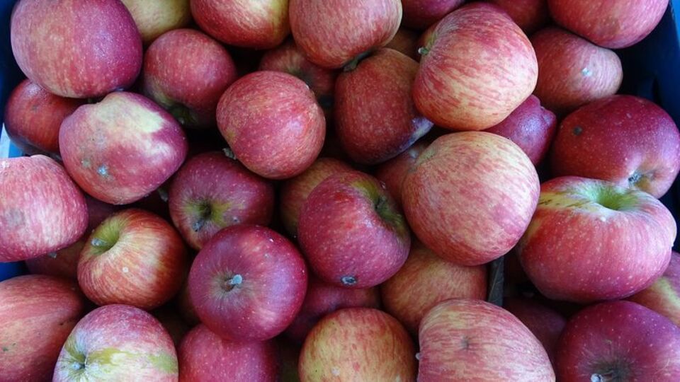 En yüksek fiyat farkı elmada!