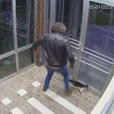 Kedi düşmanının ifadesi "Pes" dedirtti!