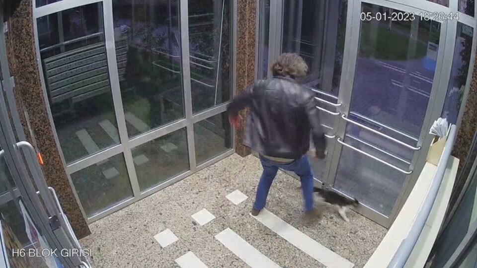 Kedi düşmanının ifadesi "Pes" dedirtti!