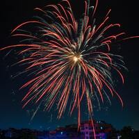 Havai fişekler kuşları nasıl etkiliyor?