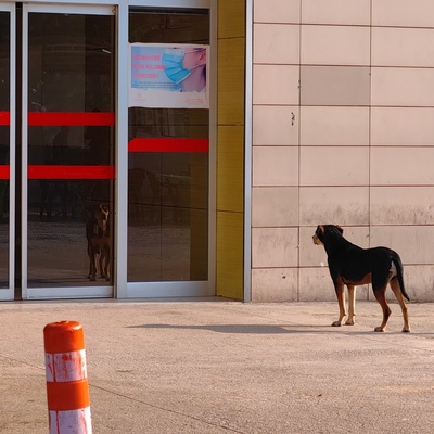 Yürekleri ısıtan vefa! Saatlerce kapıda bekledi