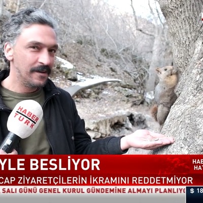 Sincabı eliyle besliyor
