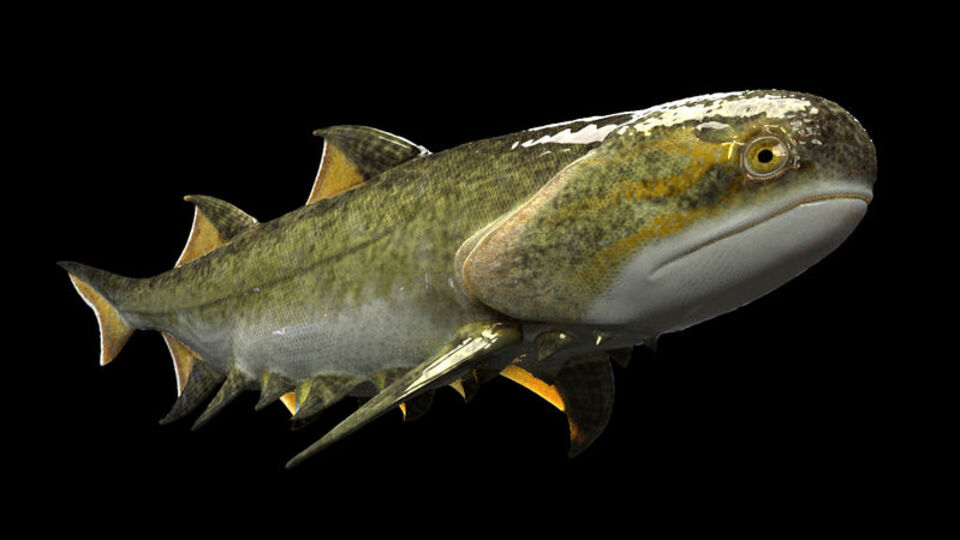 Kömür madeninde keşfedildi... 320 milyon yıllık!