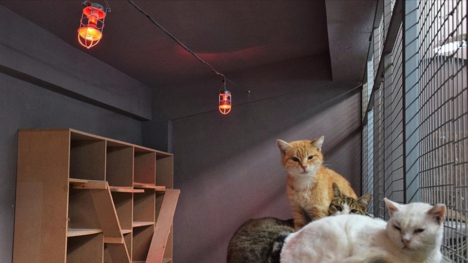 Soğuk mevsimde sıcak önlemler