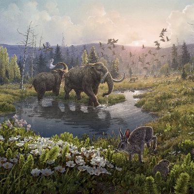 Dünyanın en eski DNA’sı 2 milyon yaşında