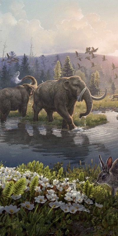 Dünyanın en eski DNA’sı 2 milyon yaşında