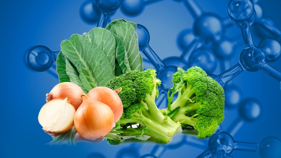 O molekül genel sağlığa iyi geliyor! En çok bu 5 gıdada var