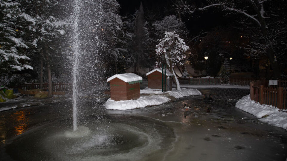Kuğulu Park'taki havuz buz tuttu