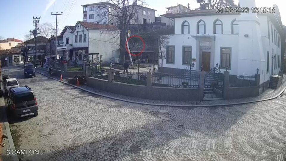 Budamak için çıktığı ağaçtan düşüp öldü