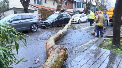 İstanbul'da fırtına yıktı, uçurdu!