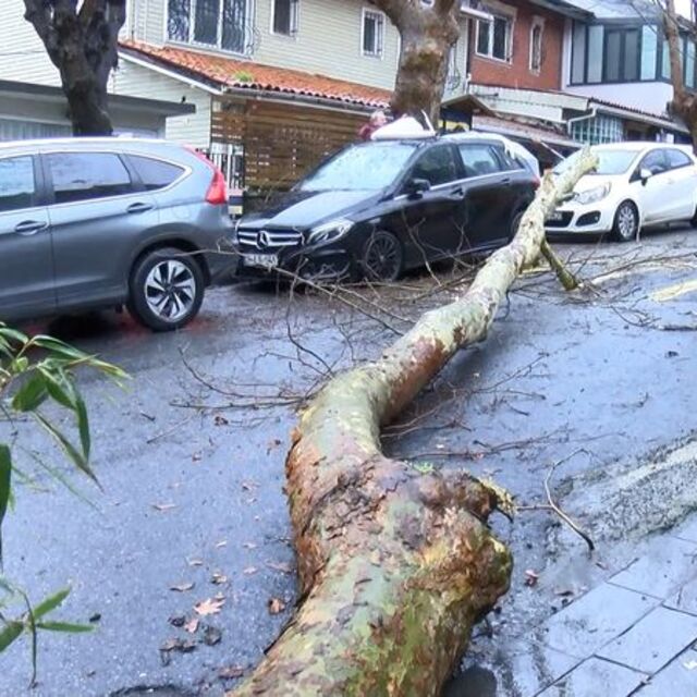 İstanbul'da fırtına yıktı, uçurdu!