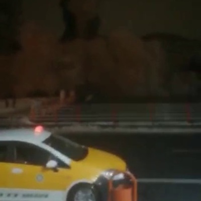 Tam bir felaket! Diyarbakır'daki bina böyle yıkıldı