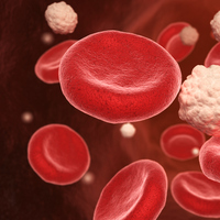 LTH hormonu görevi nedir?