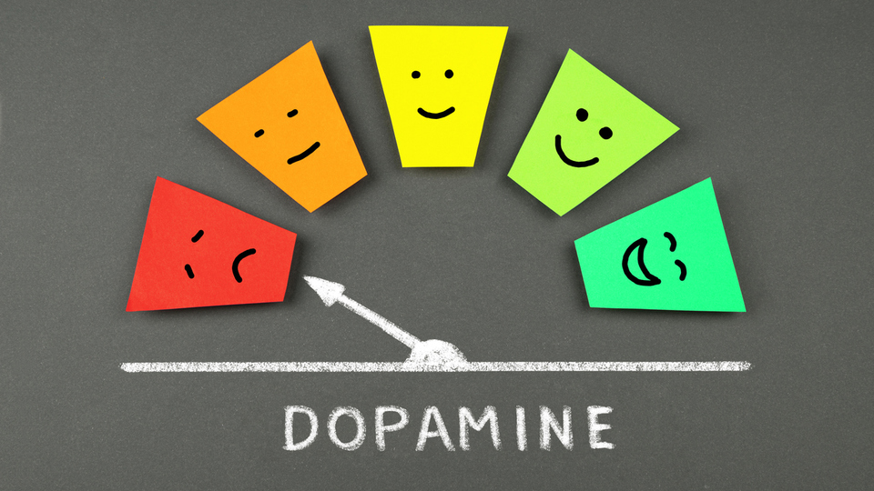 Dopamin hormonu nedir ve ne işe yarar?