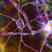 Tourette Sendromu nedir, belirtileri neler?