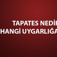 Tapates nedir, ne demek?
