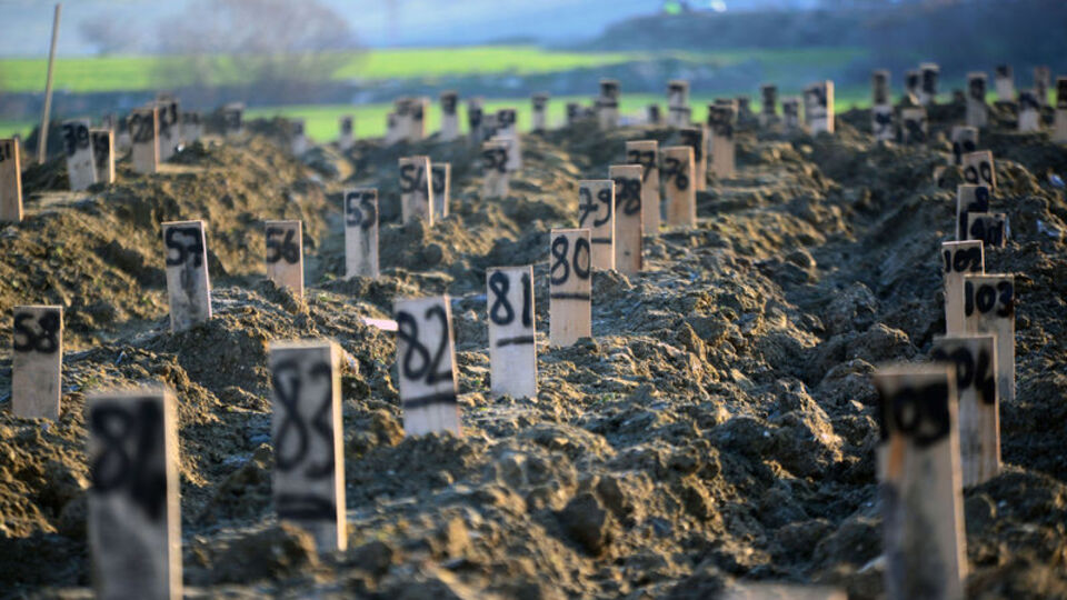 Numaralı defin... Deprem mezarlığı!