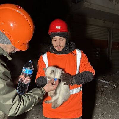 Enkazdan çıkarılan canlar için seferber oldular