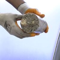 Karot testi nedir ve nasıl yapılır?