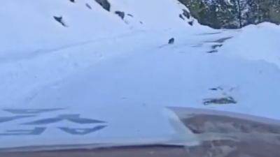 Yolunu kaybeden ekibi köye ulaştırdı