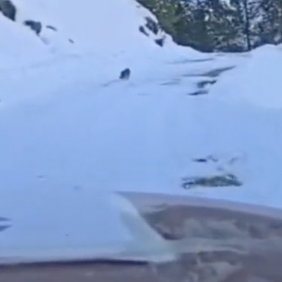 Yolunu kaybeden ekibi köye ulaştırdı