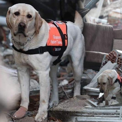 Ayaklarında bandajla çalışıyorlar